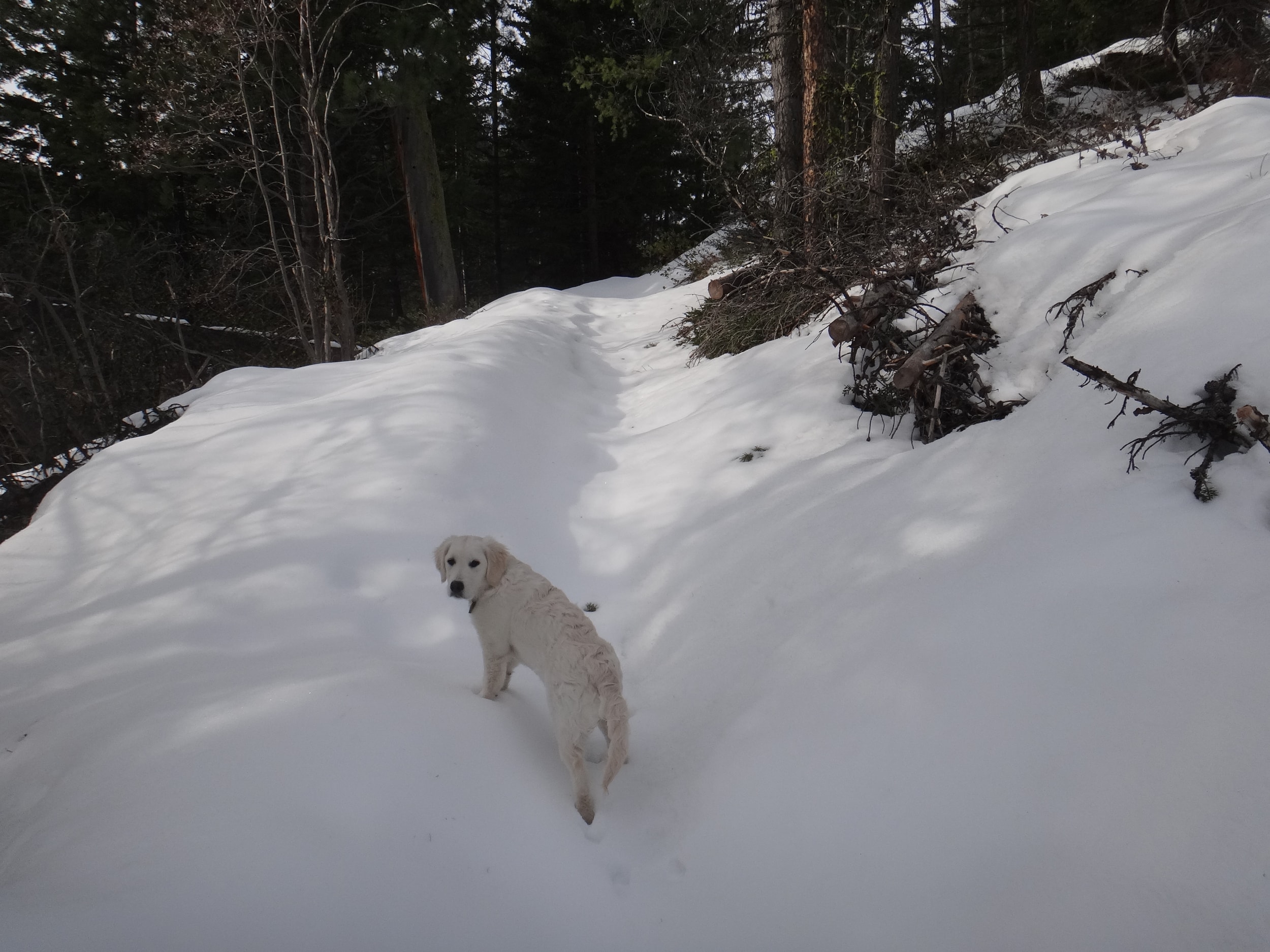 Eagle Lake - Tom & Oakley