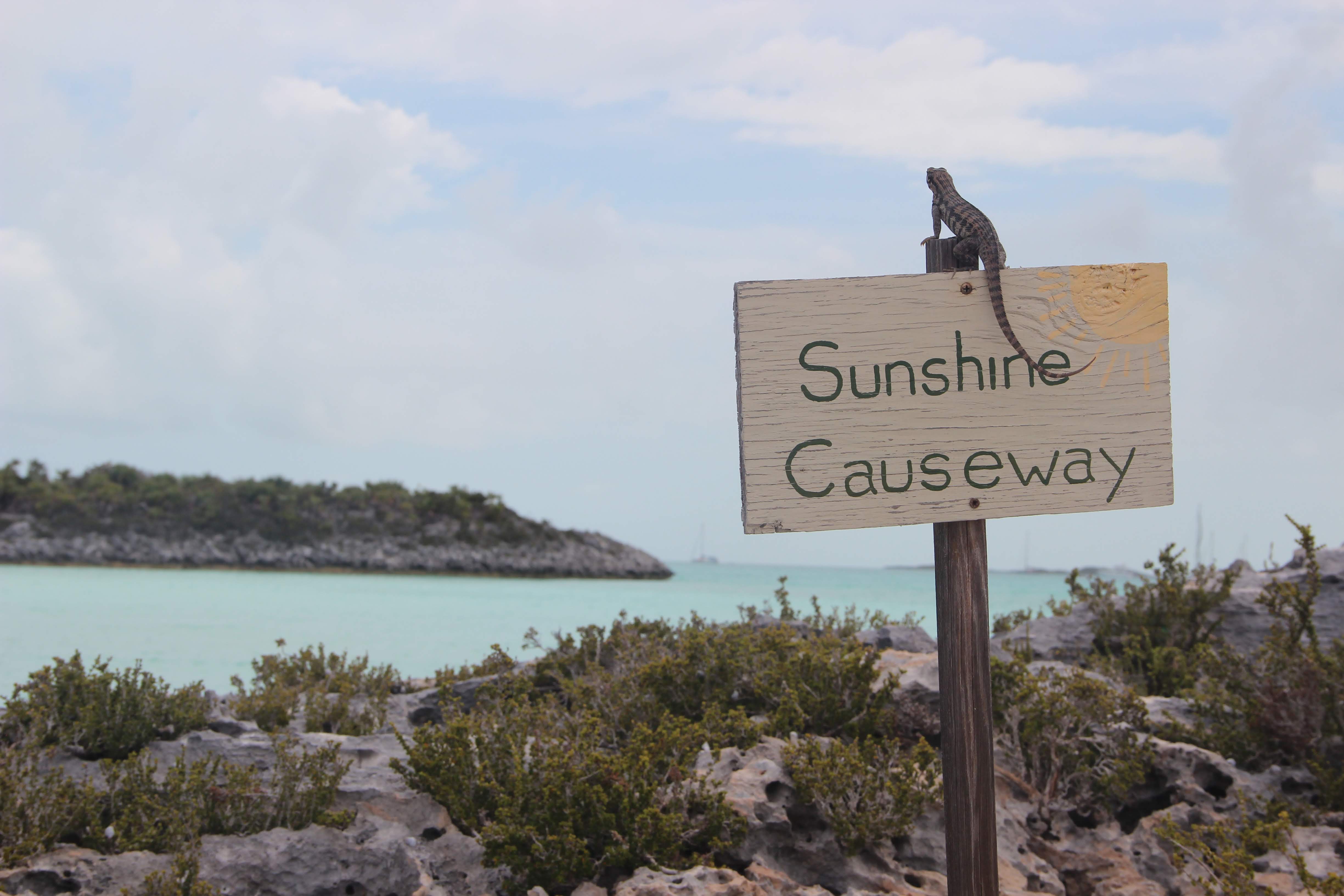Sailing the Bahamas