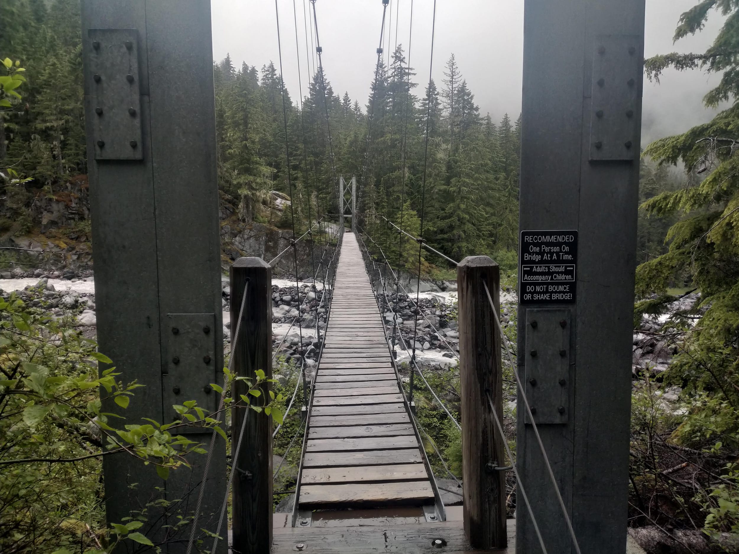 Day Eight Bridge