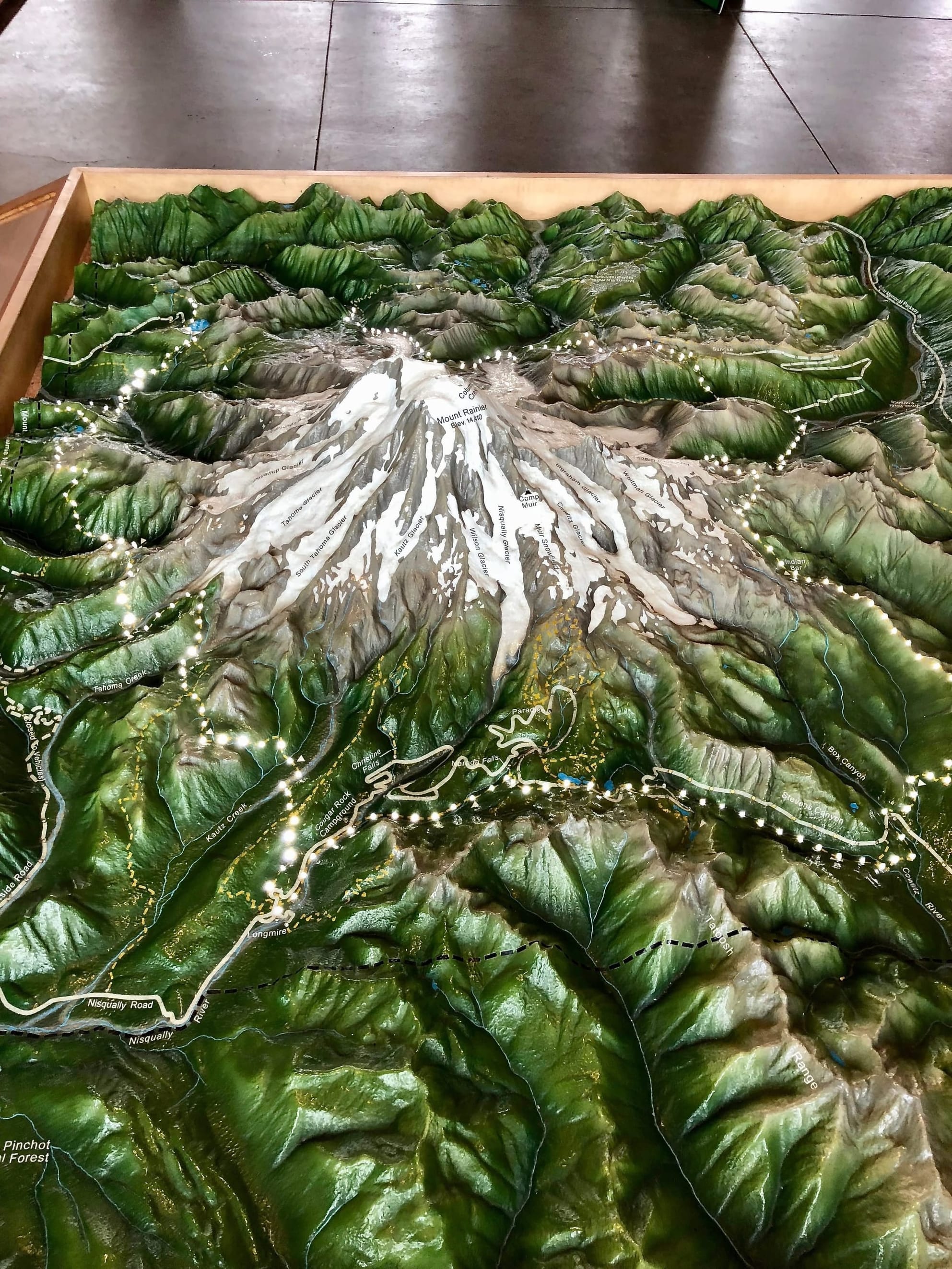 Rainier Model