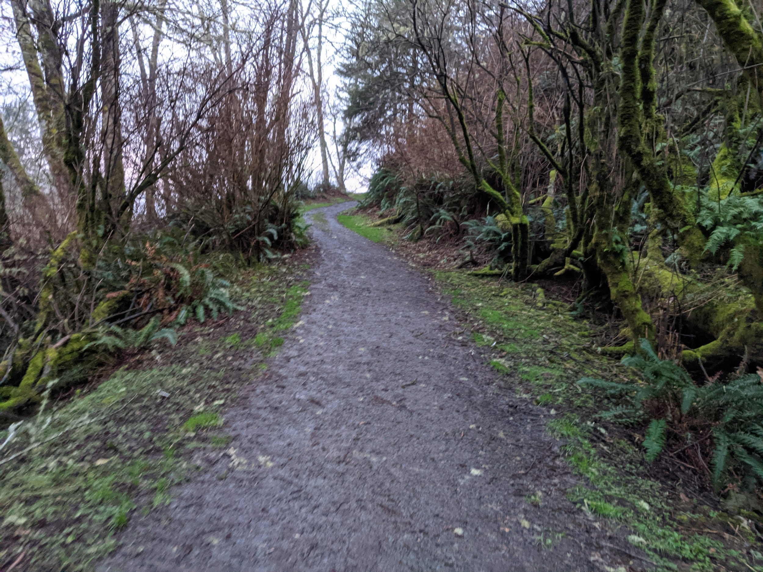 Trail