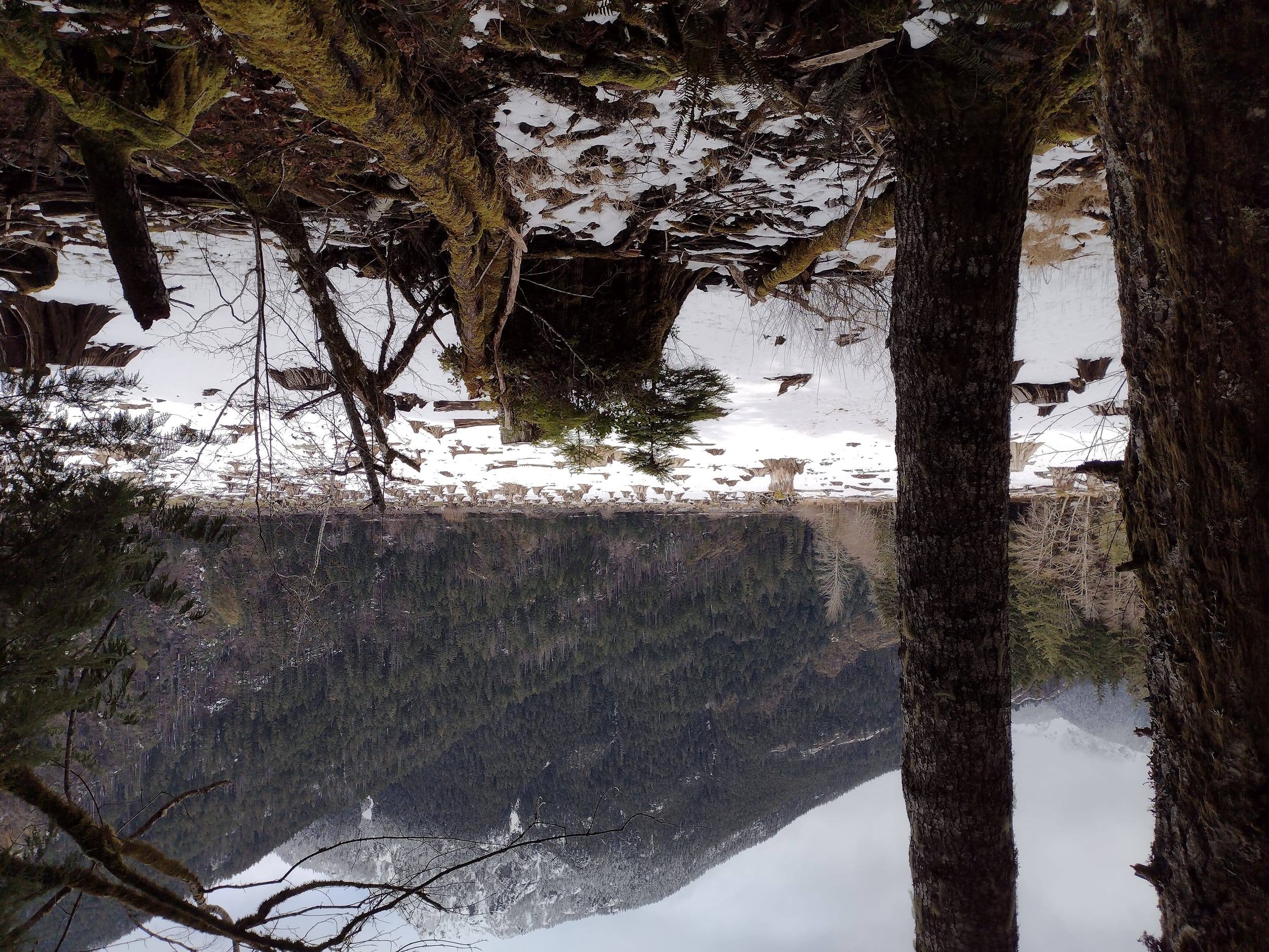 Lake Cushman