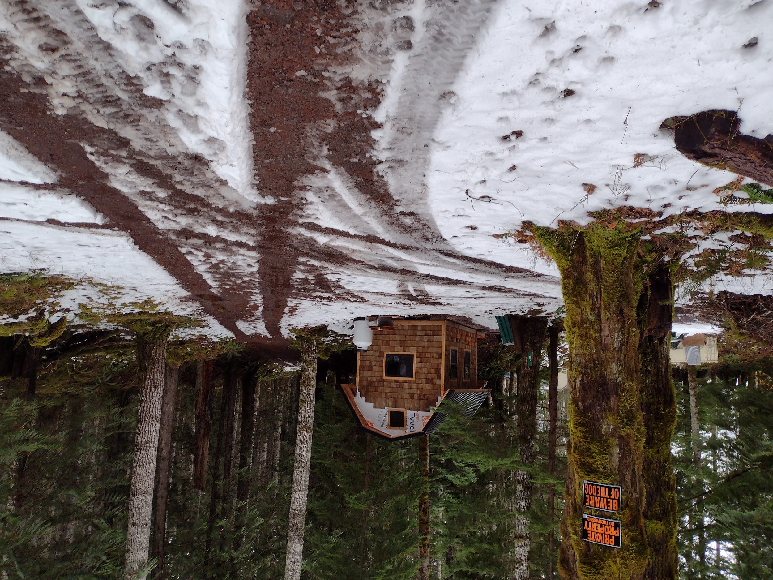 Tiny Home in the Neighborhood