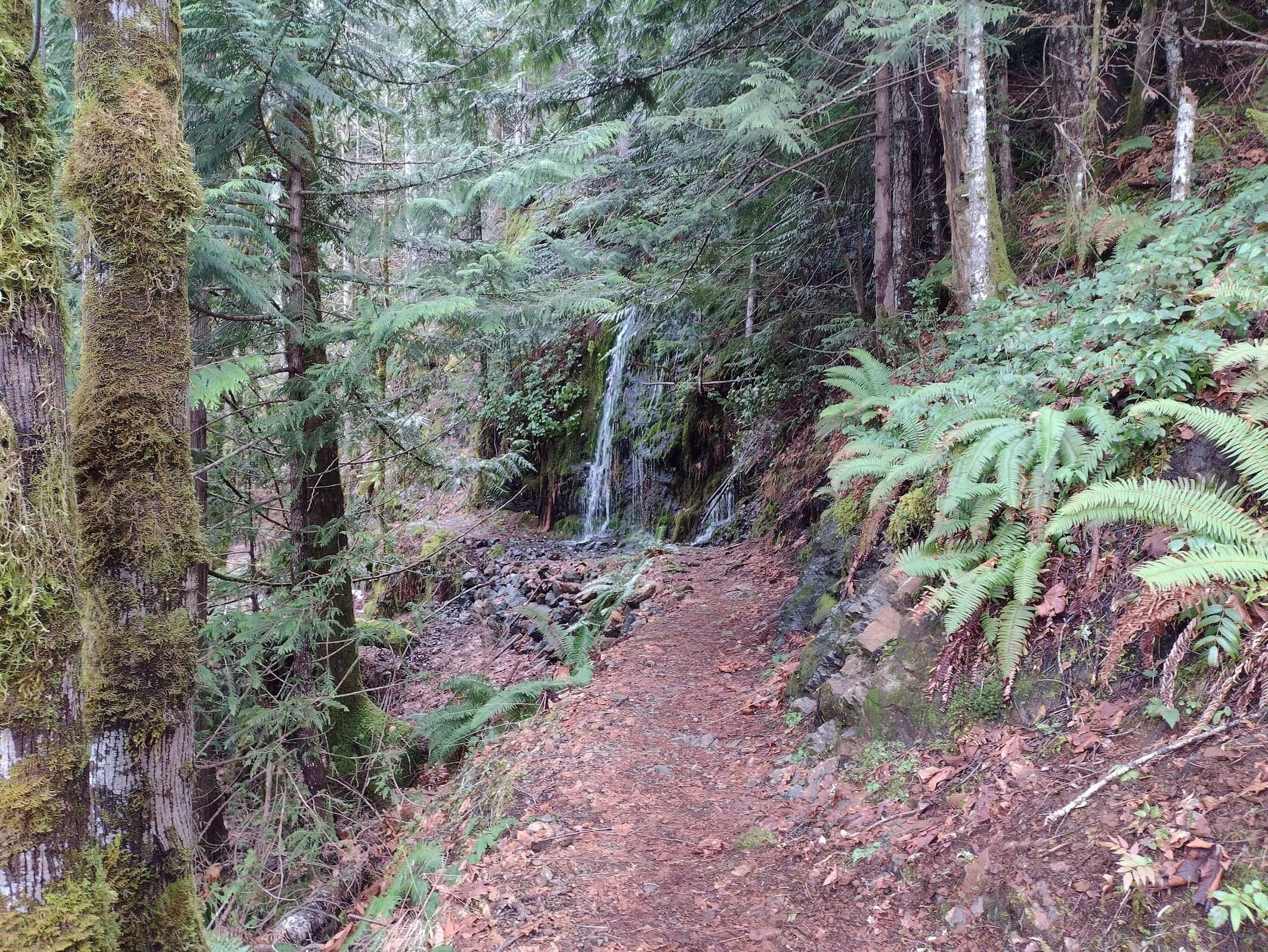 Waterfall on Trail