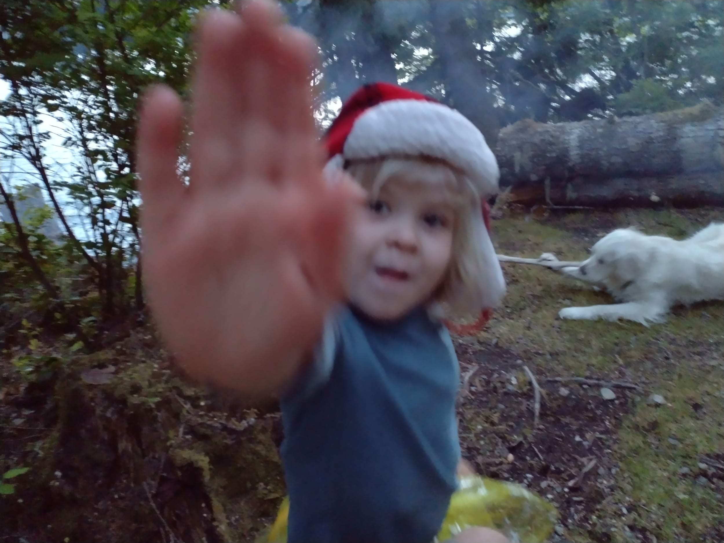 No Pictures