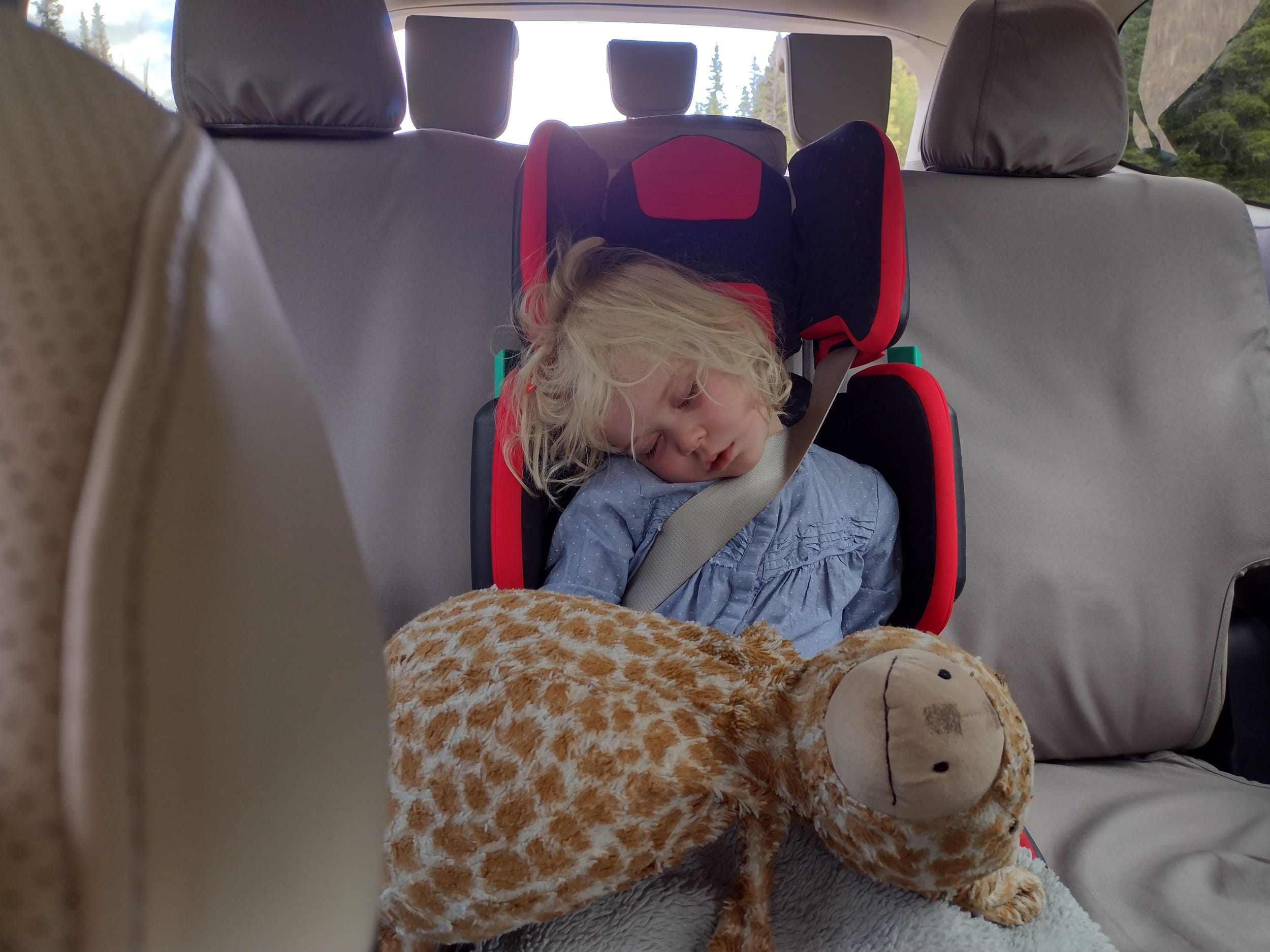 Asleep After Hike