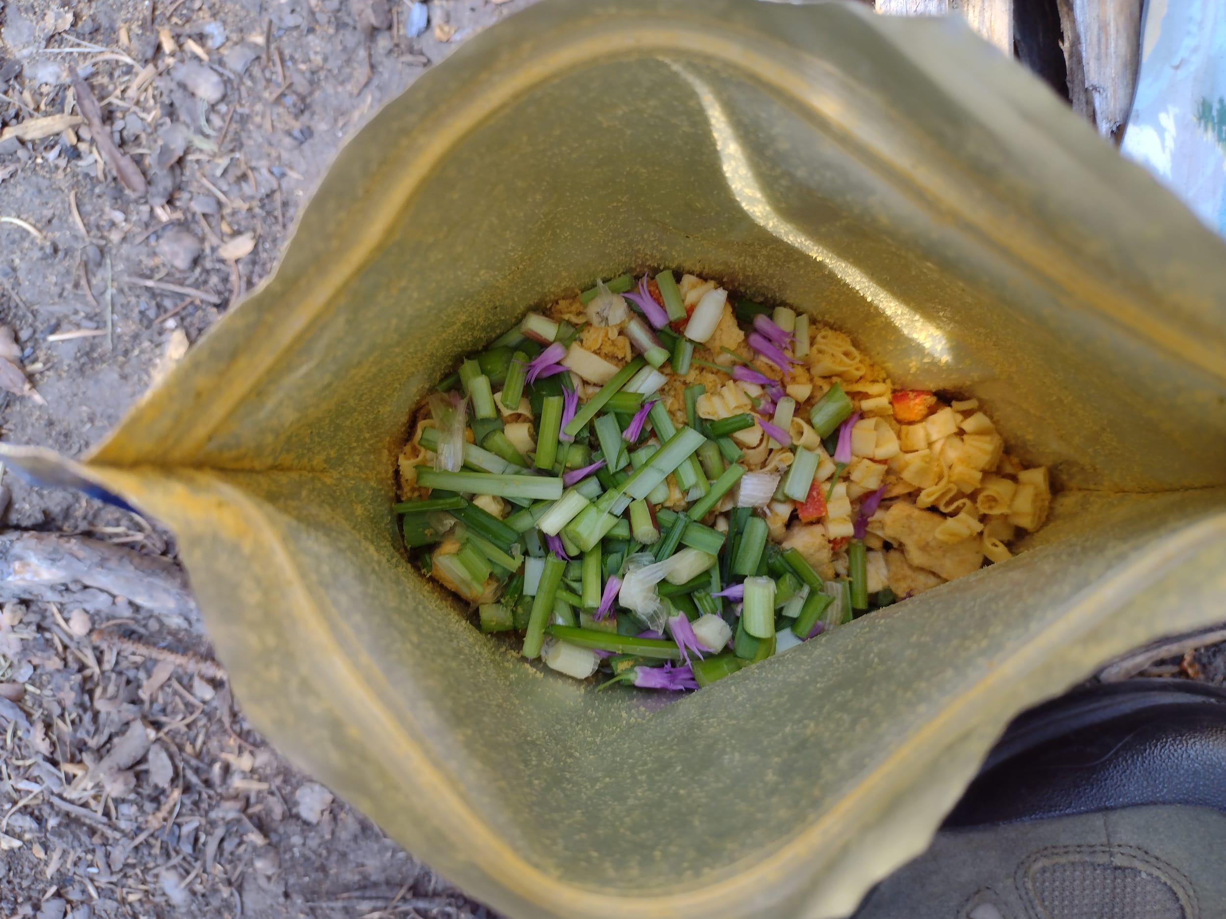 Wild Onion