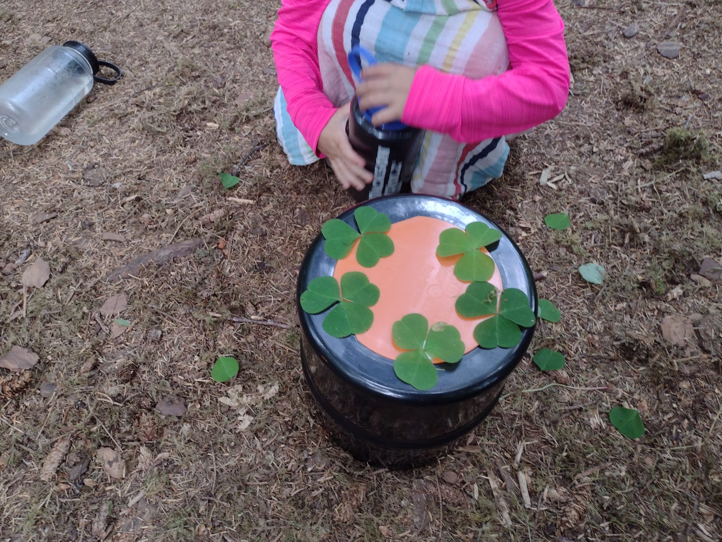 Clovers
