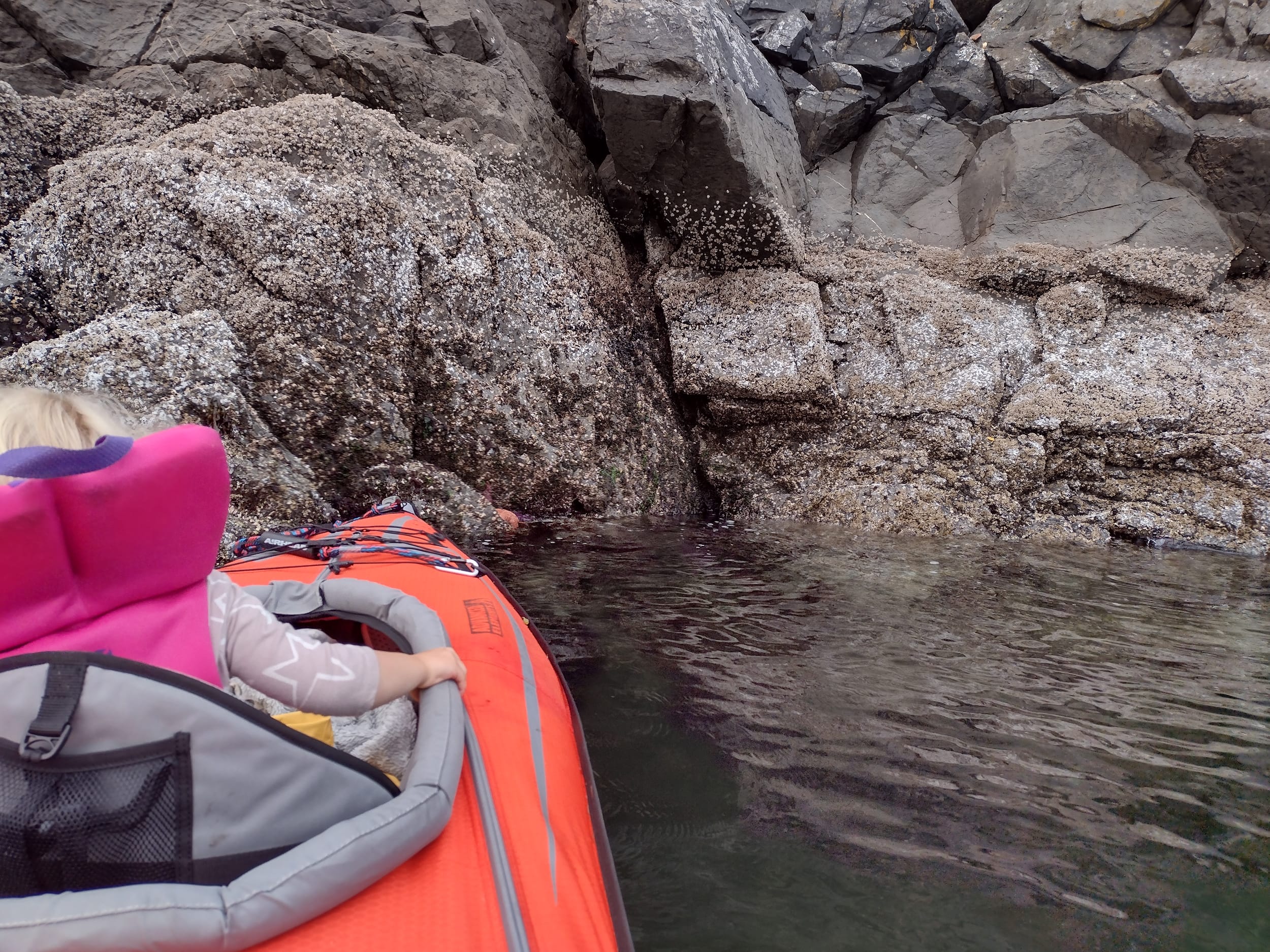 Checking Out Starfish