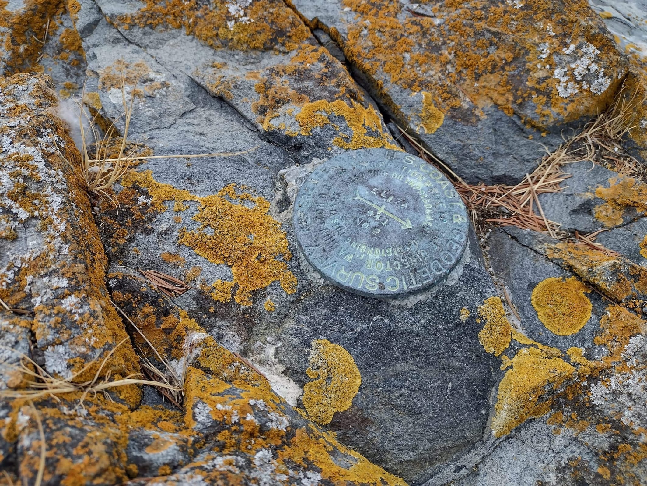 Eliza Survey Landmark