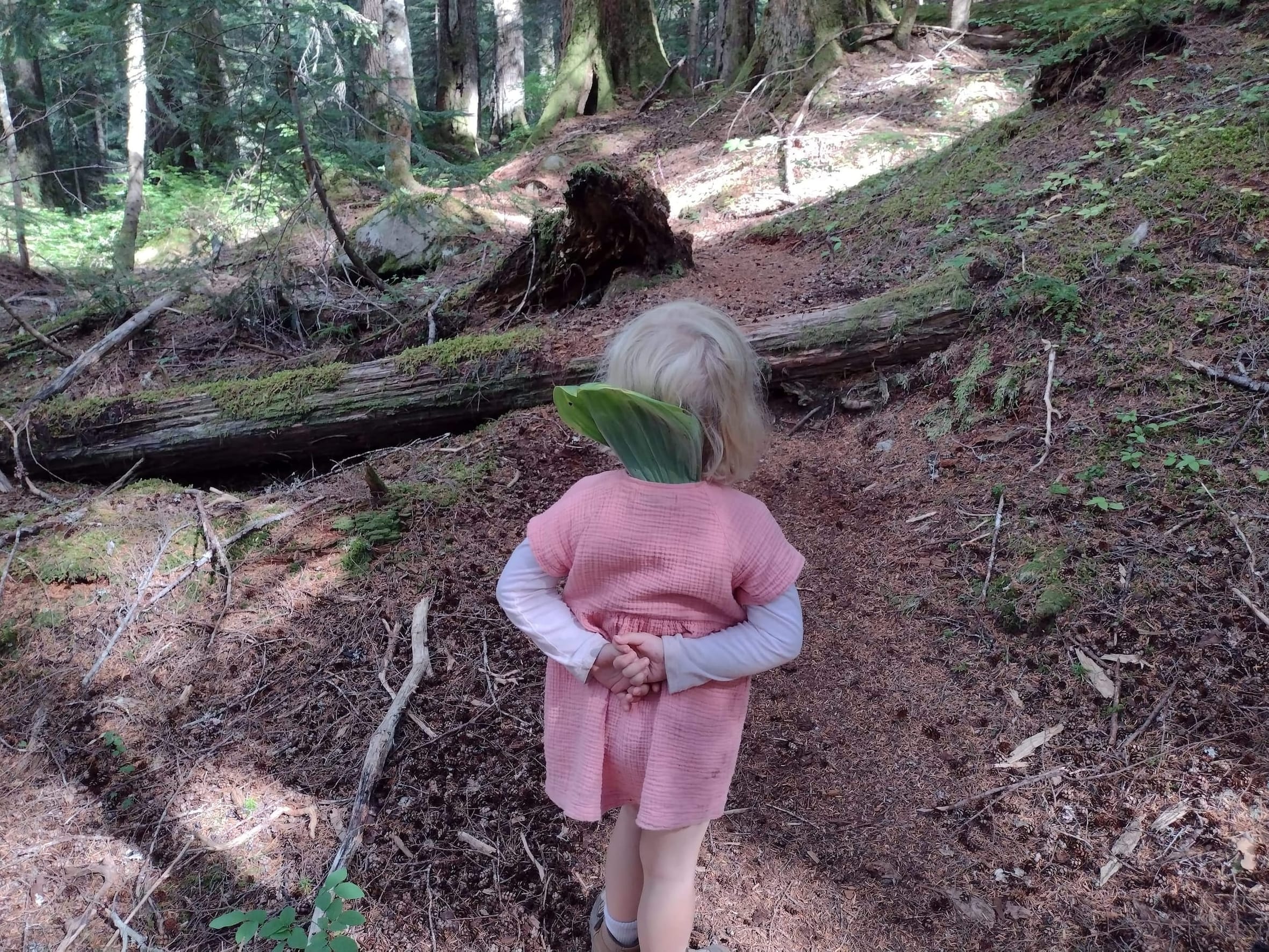 Ira Springs to Mason Lake - Tinkham Campground