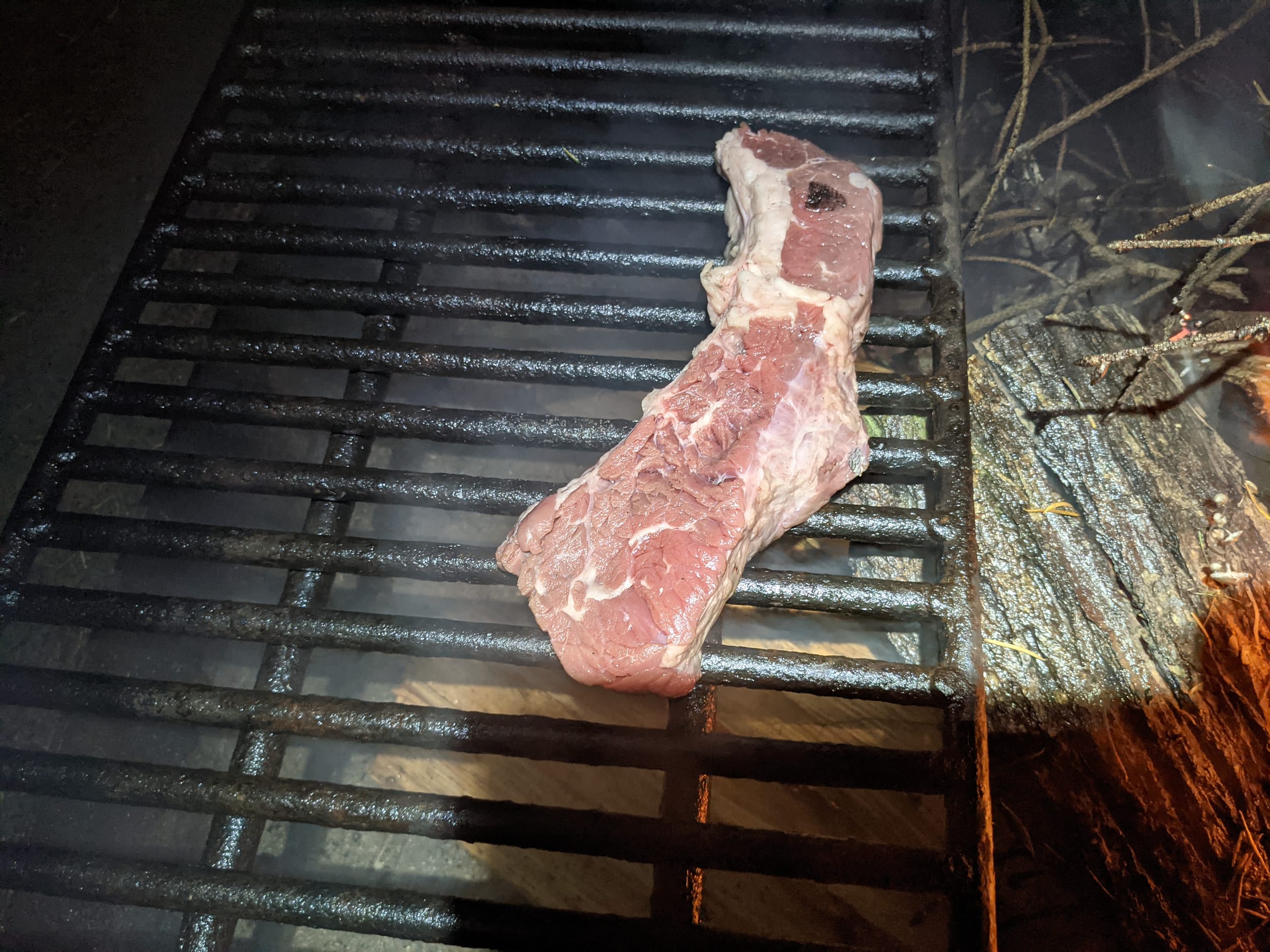 Steak For Oakley