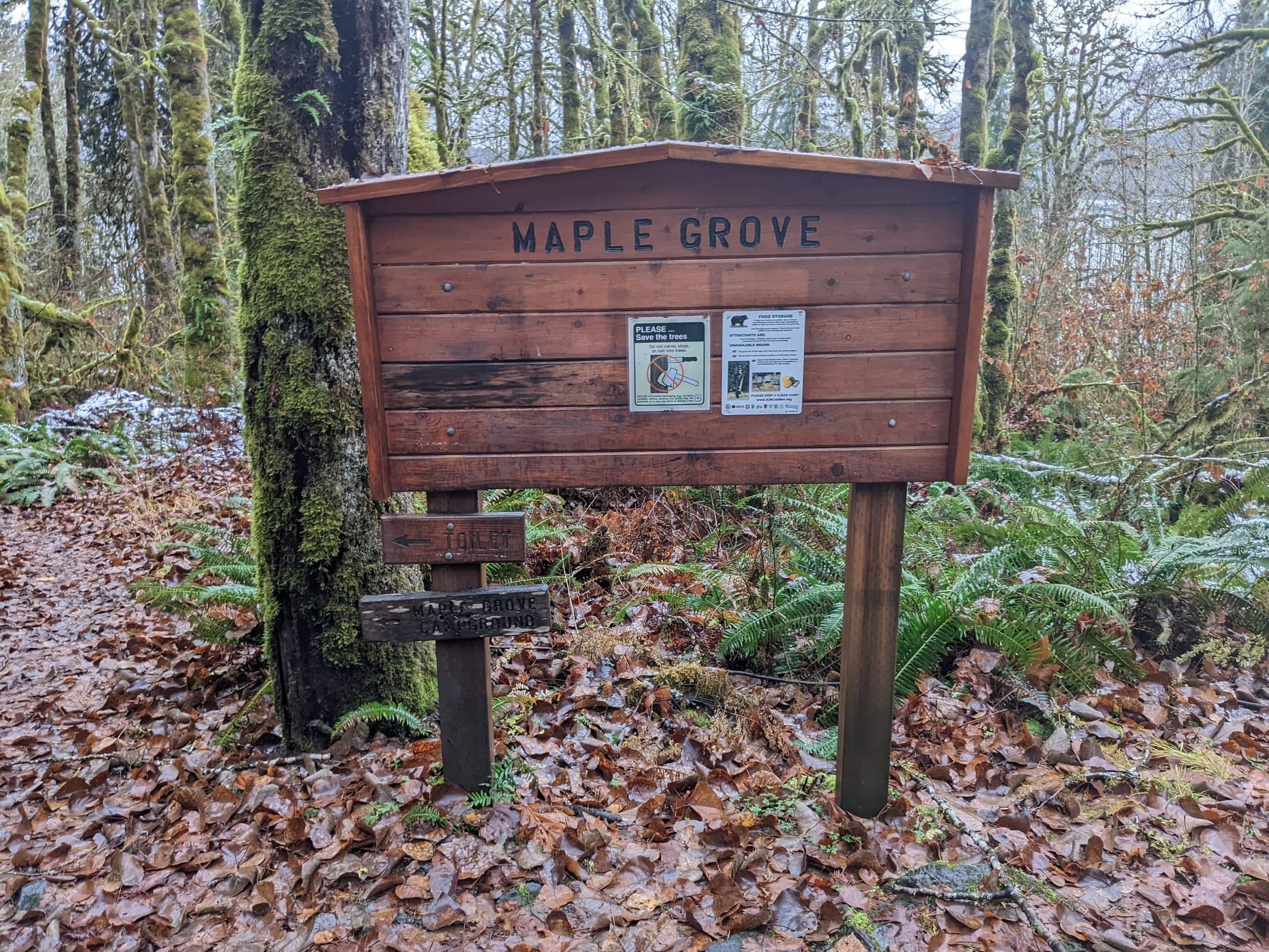Maple Grove Campsite