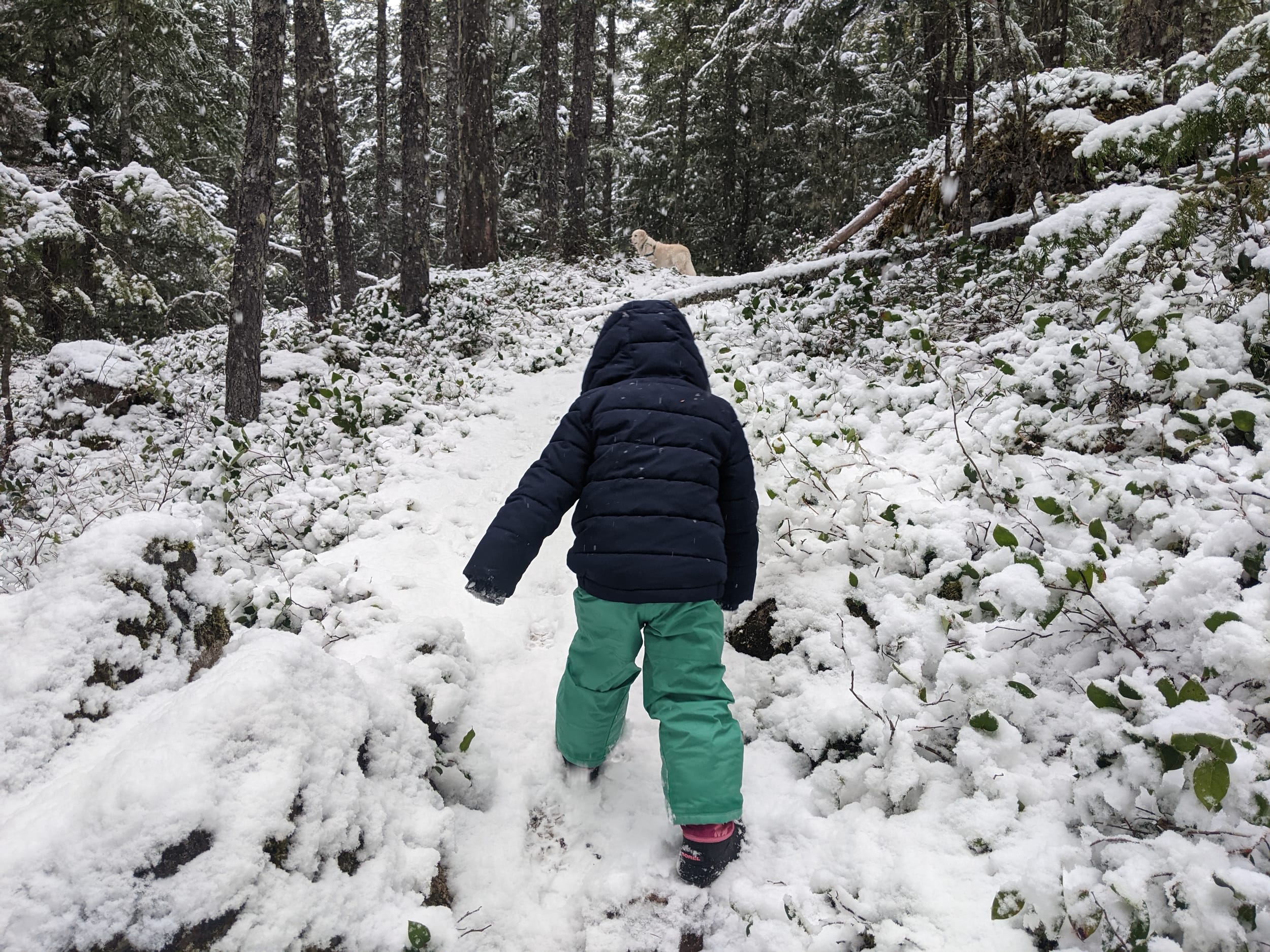 First trip to the North Cascades - snowy adventure!