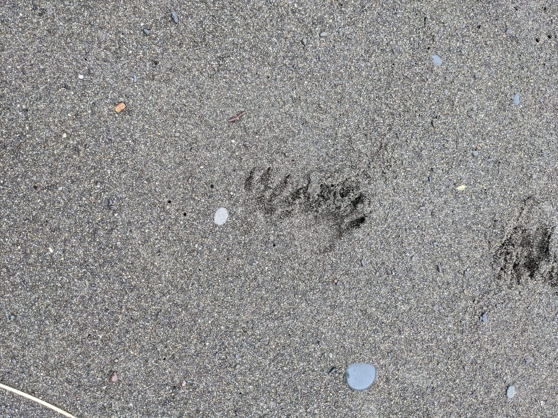 Small Tracks