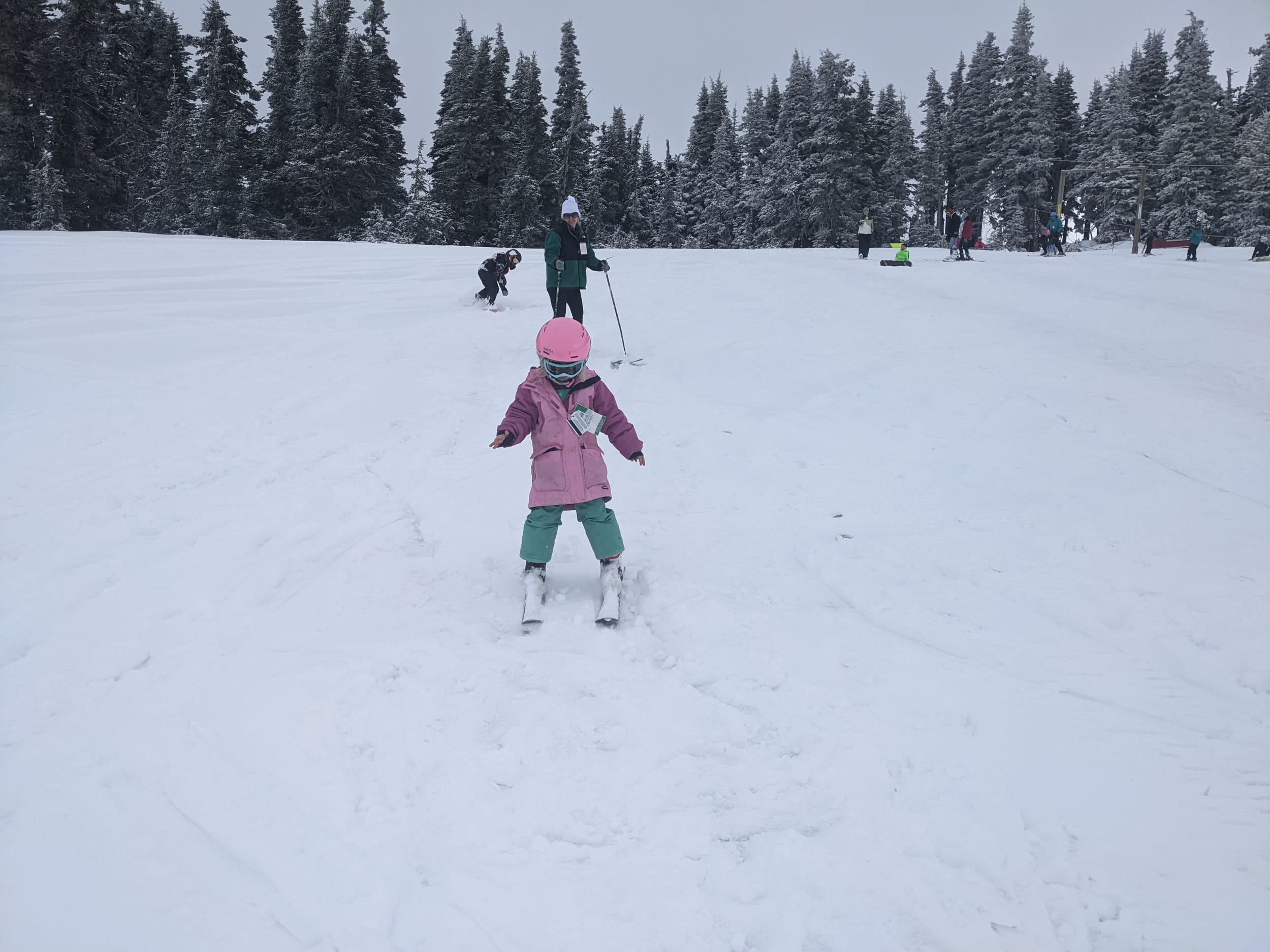 Hurricane Ridge & Forks