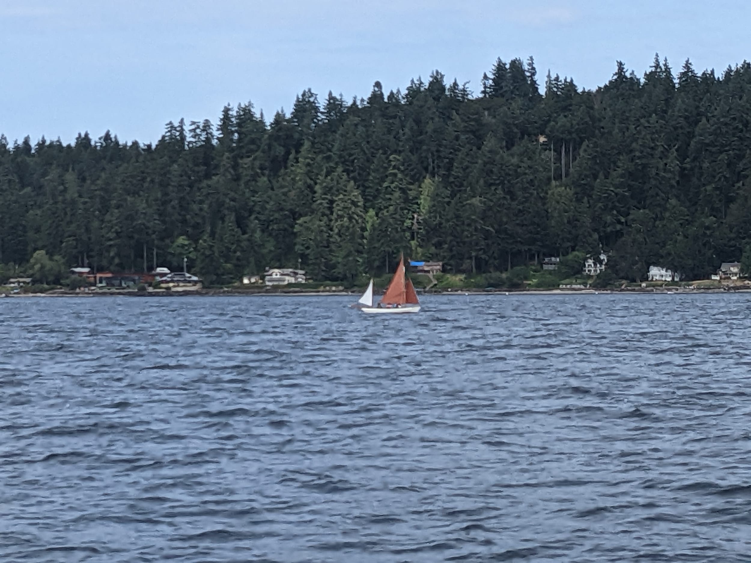 Little Boat