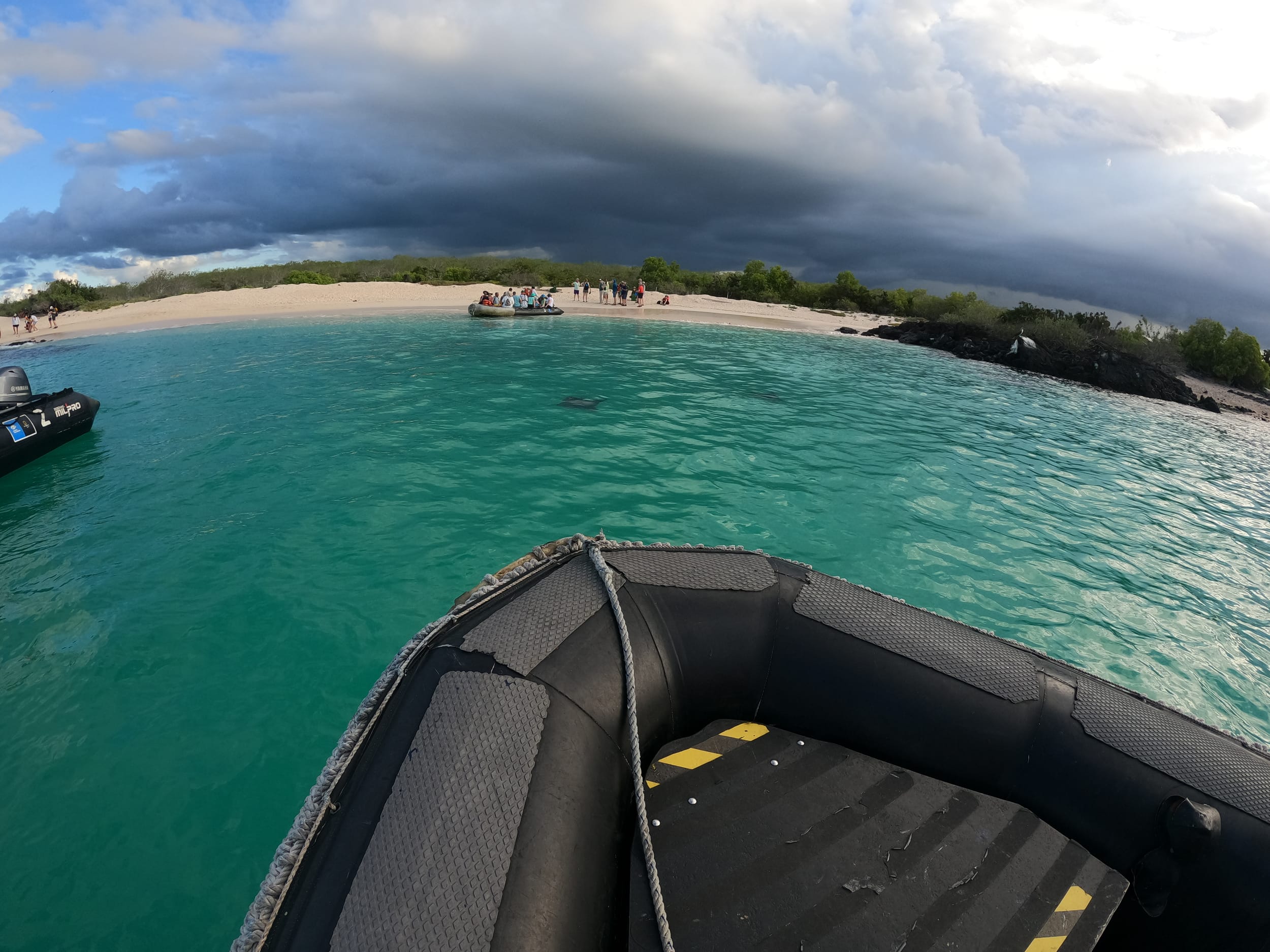 Galapagos - to the Boat!