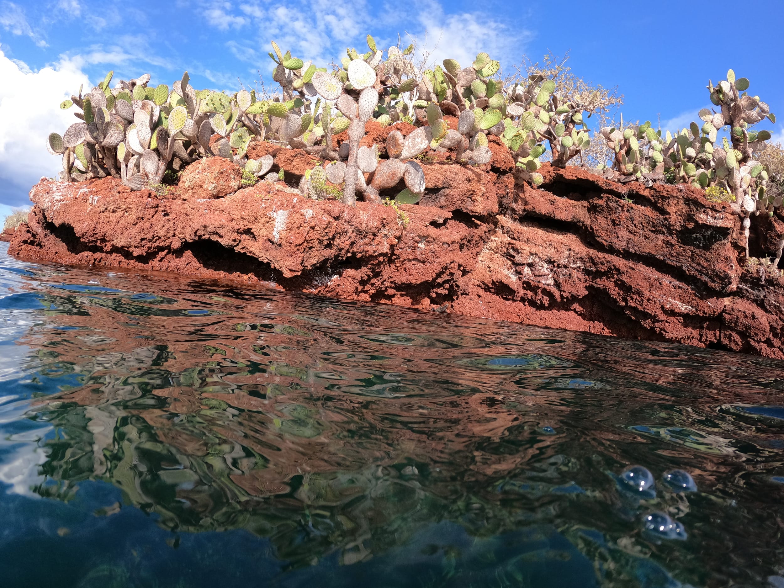 Galapagos - Isle Seymour Norte & Isla Rabida