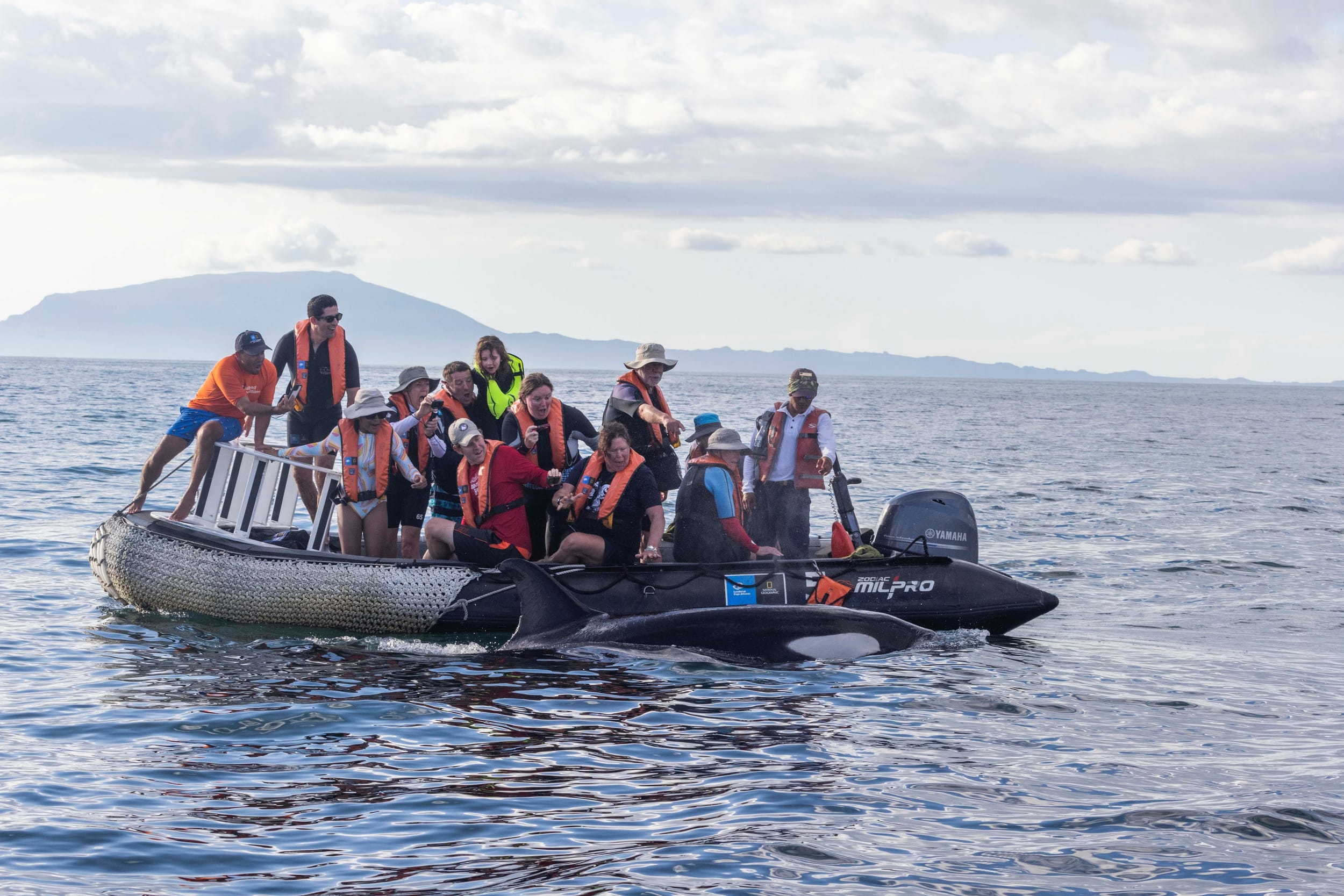 Galapagos - what's up with all these Orcas?!?