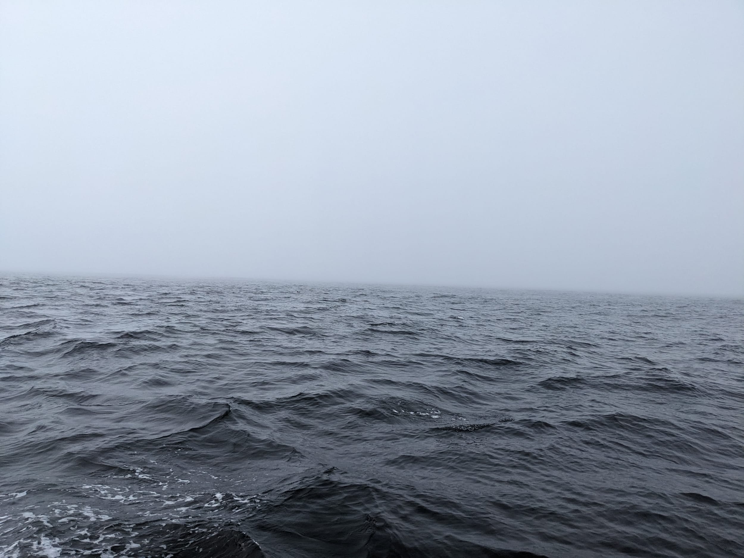 fog