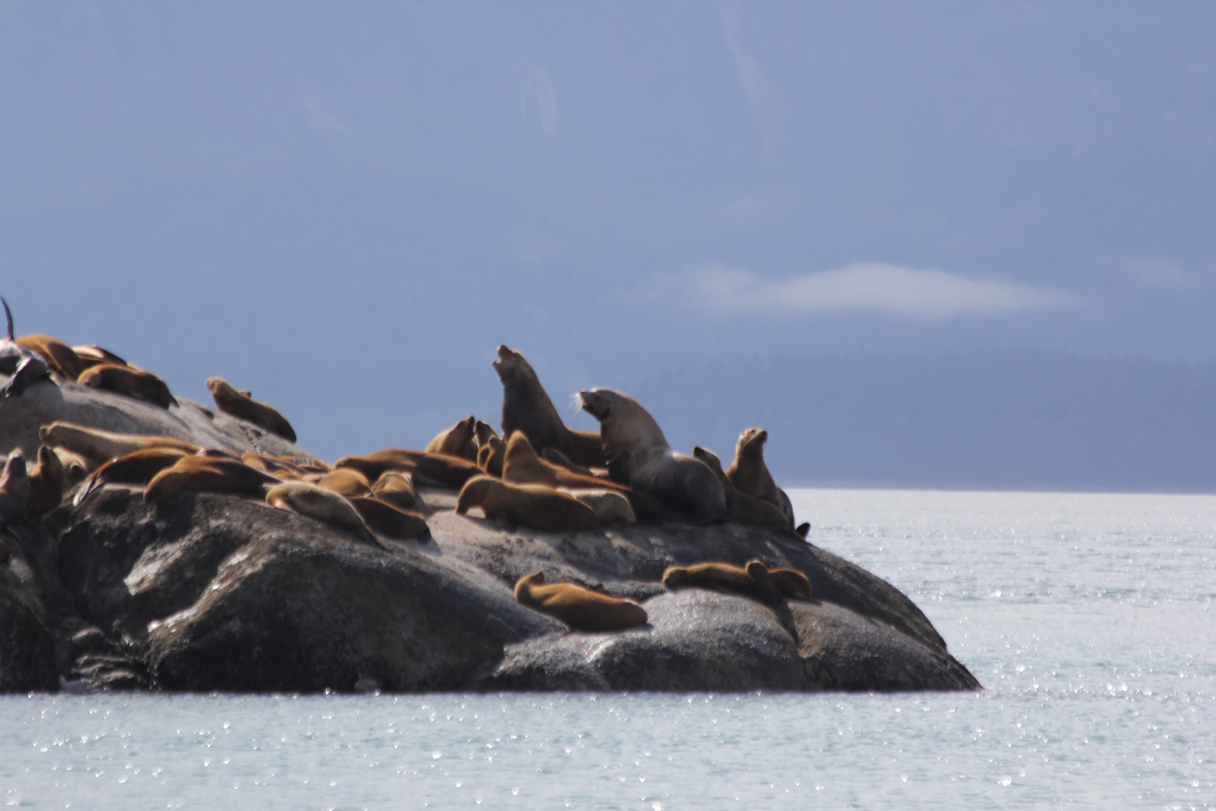 Glacier Bay - Part Two