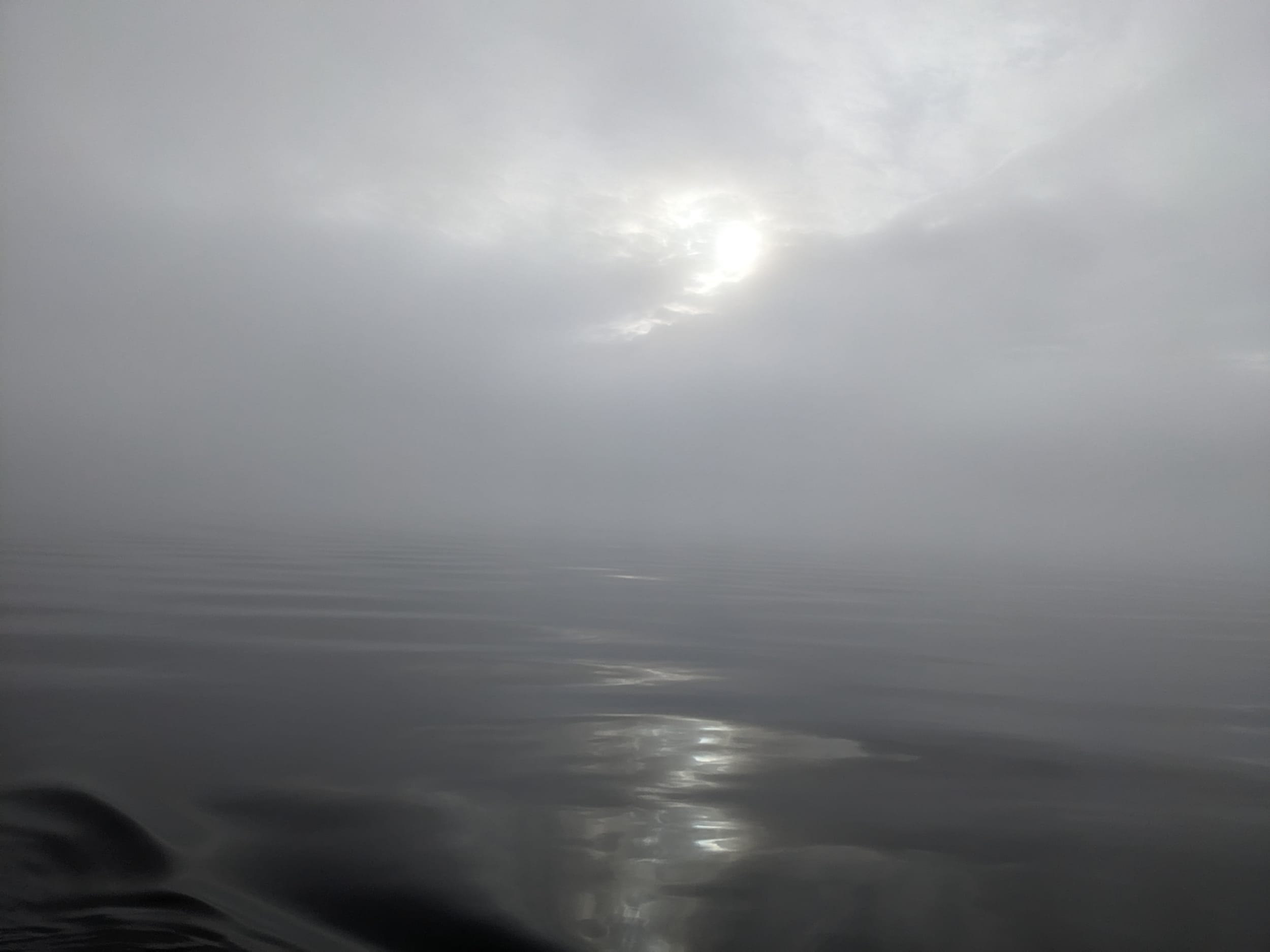 fog