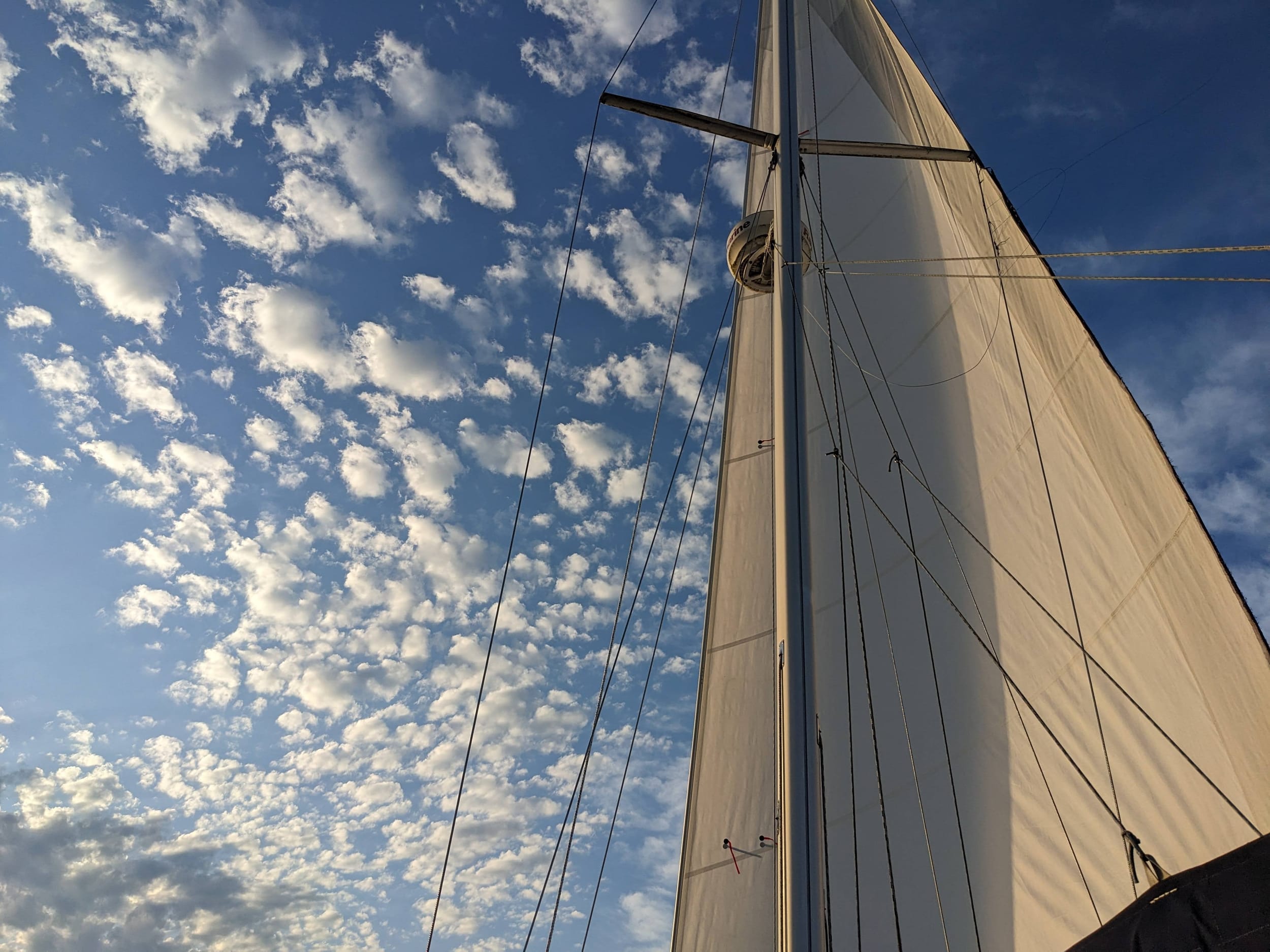 sail