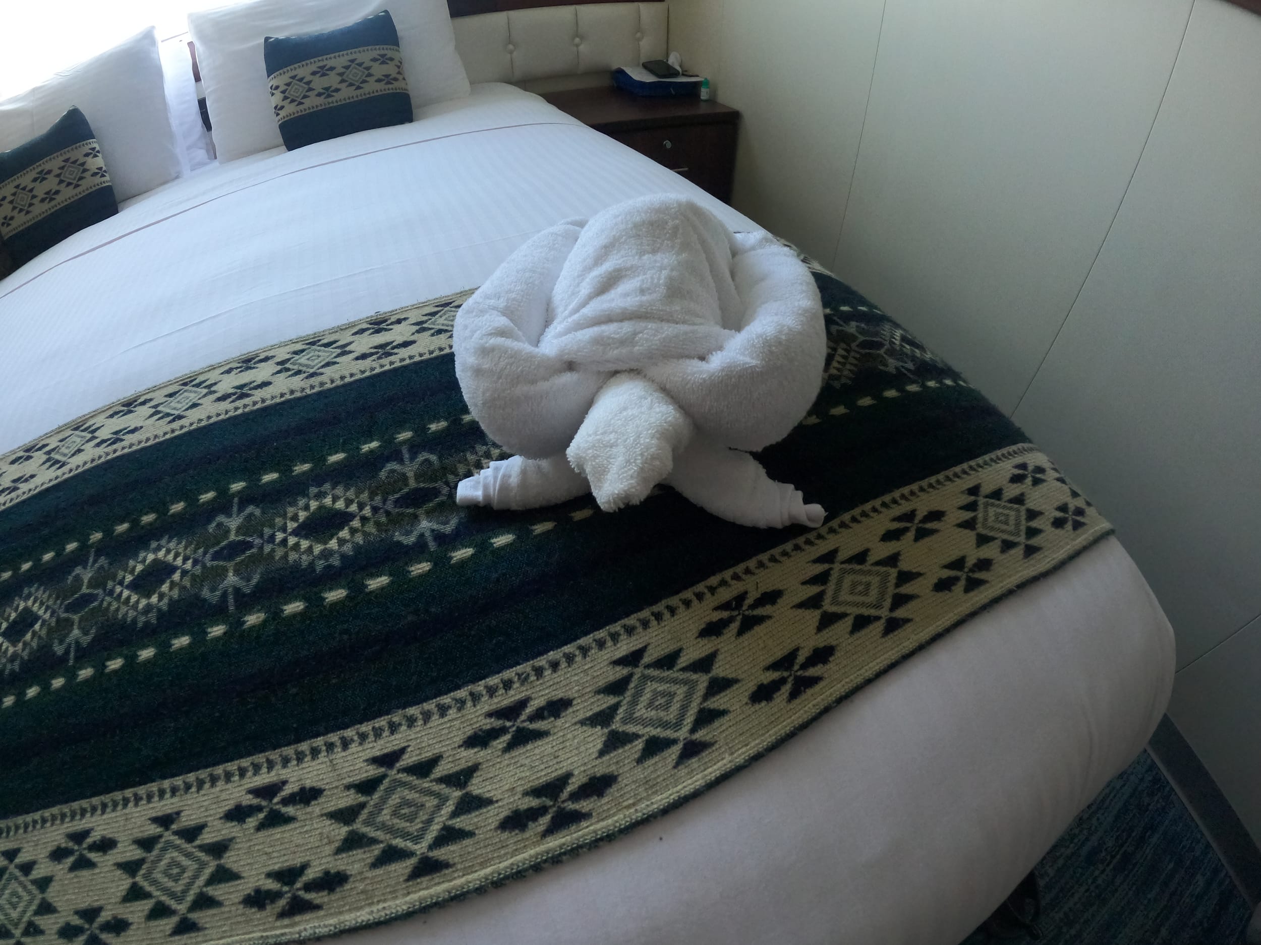 Towel Tortoise