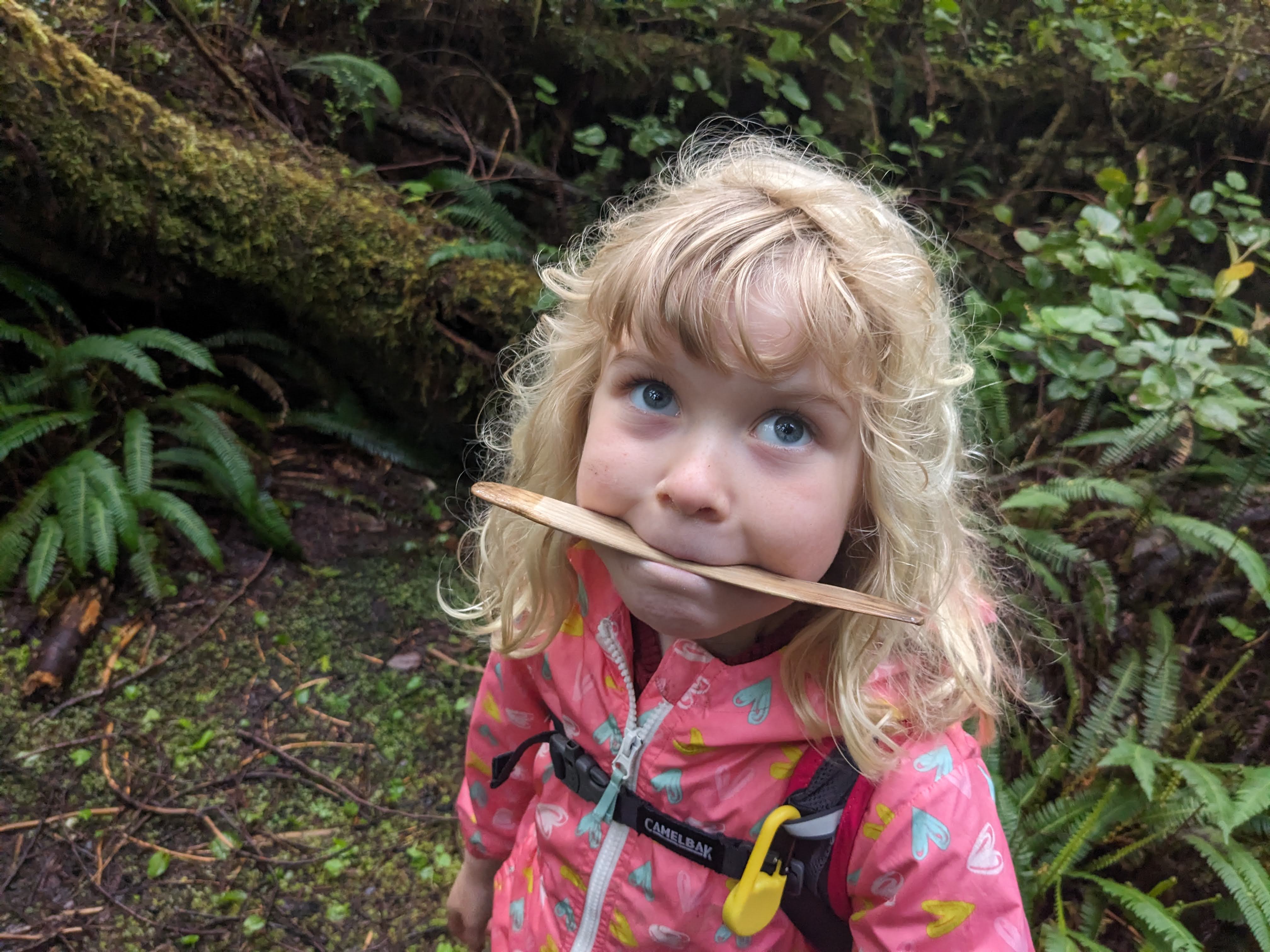 Ozette Triangle Backpacking Trip