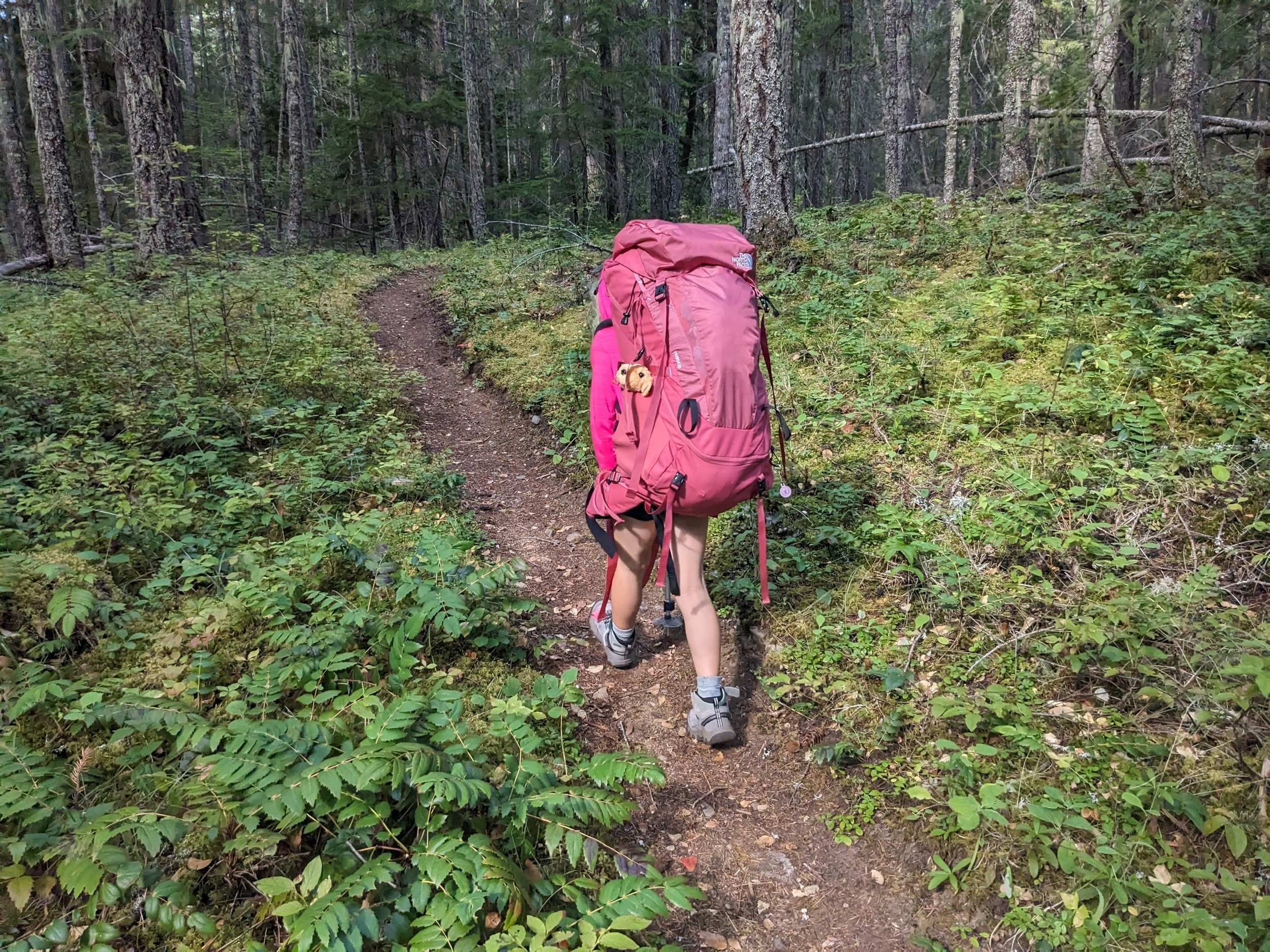 Ross Lake Backpacking