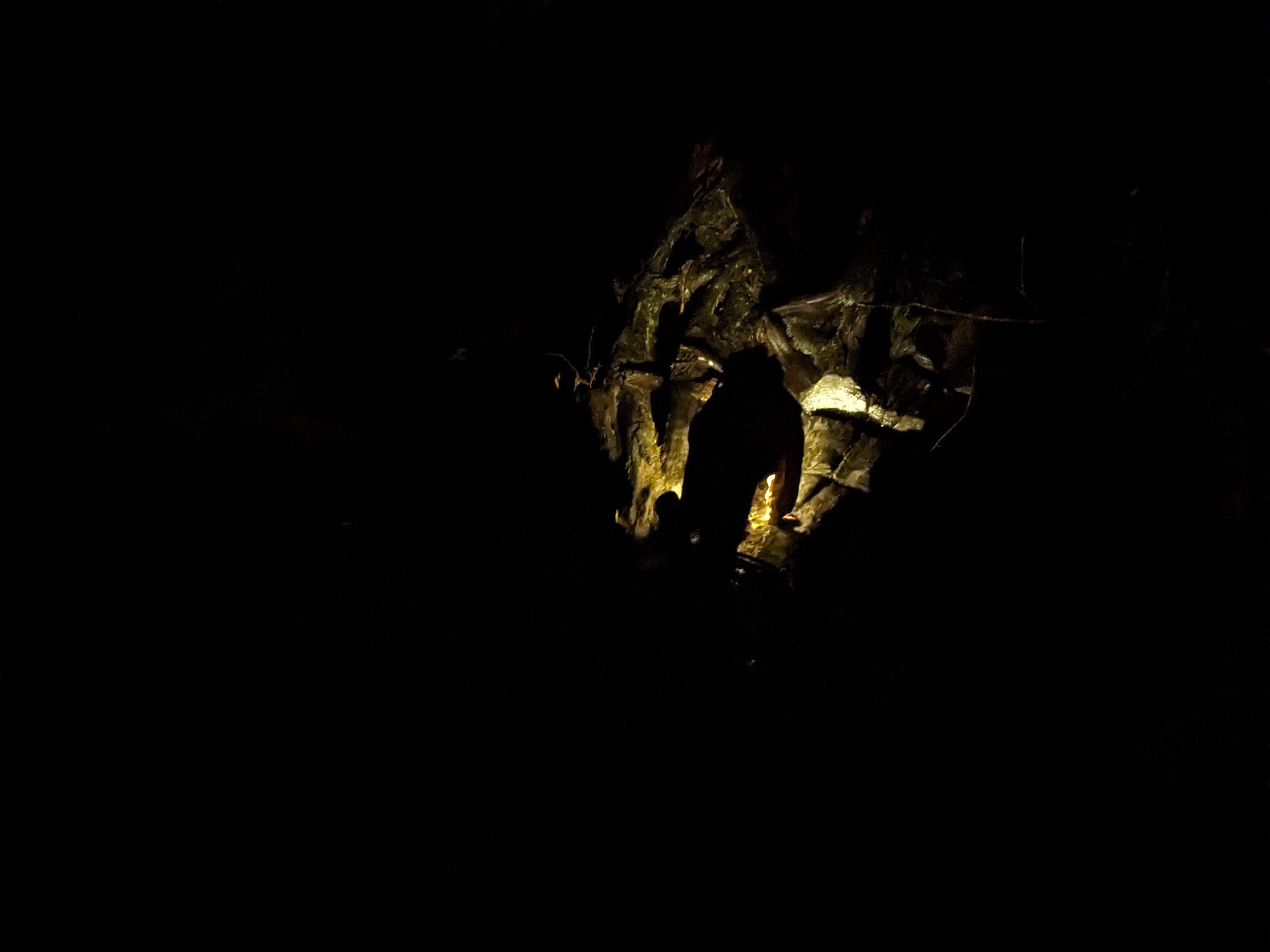 Crawling At Night