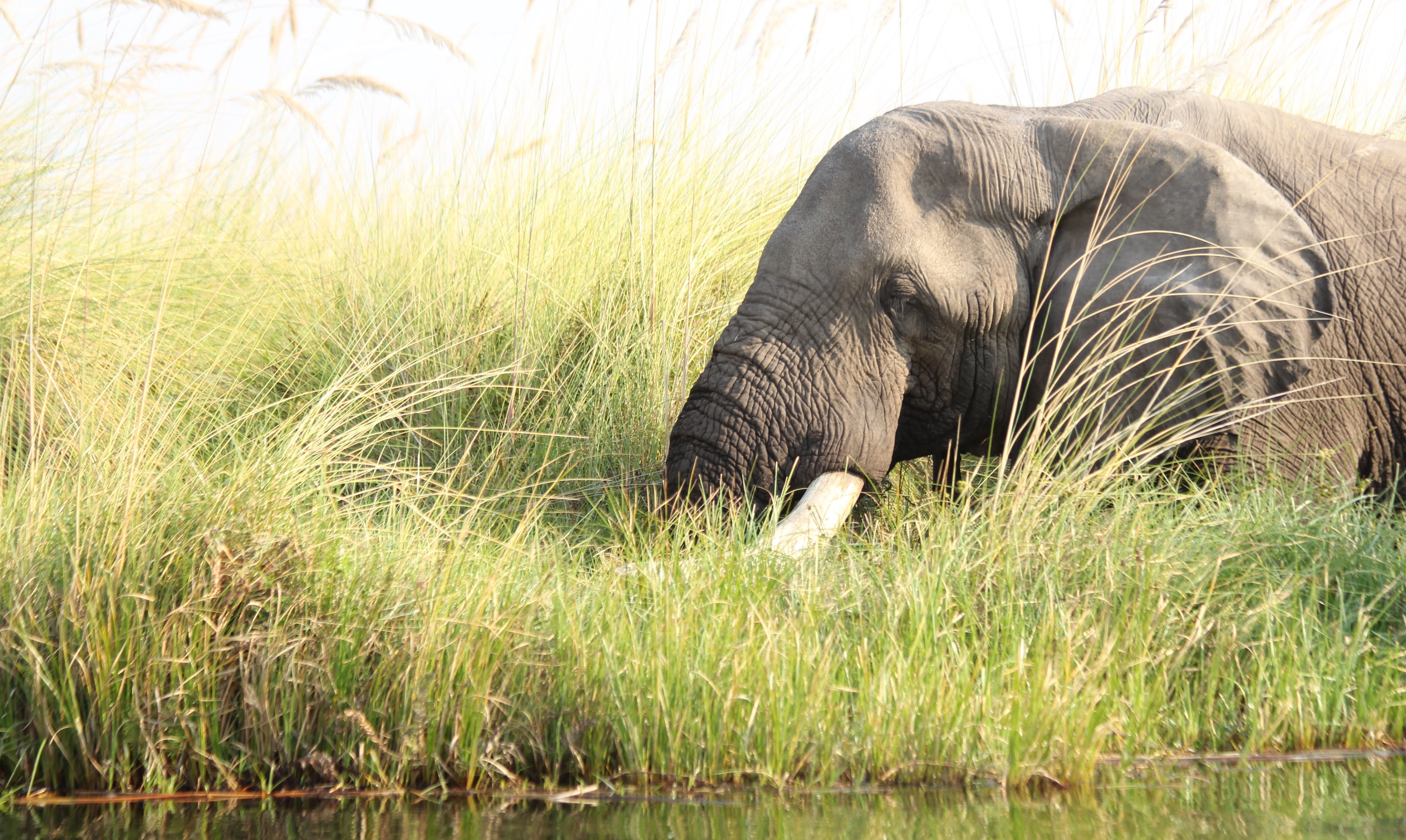 Africa Part 2: It Got Wet!